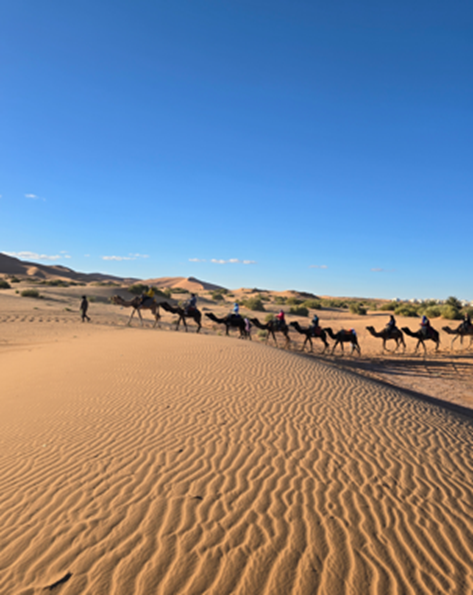 Morocco Group Tours: Combining Desert, Mountains, and Culture in One Trip