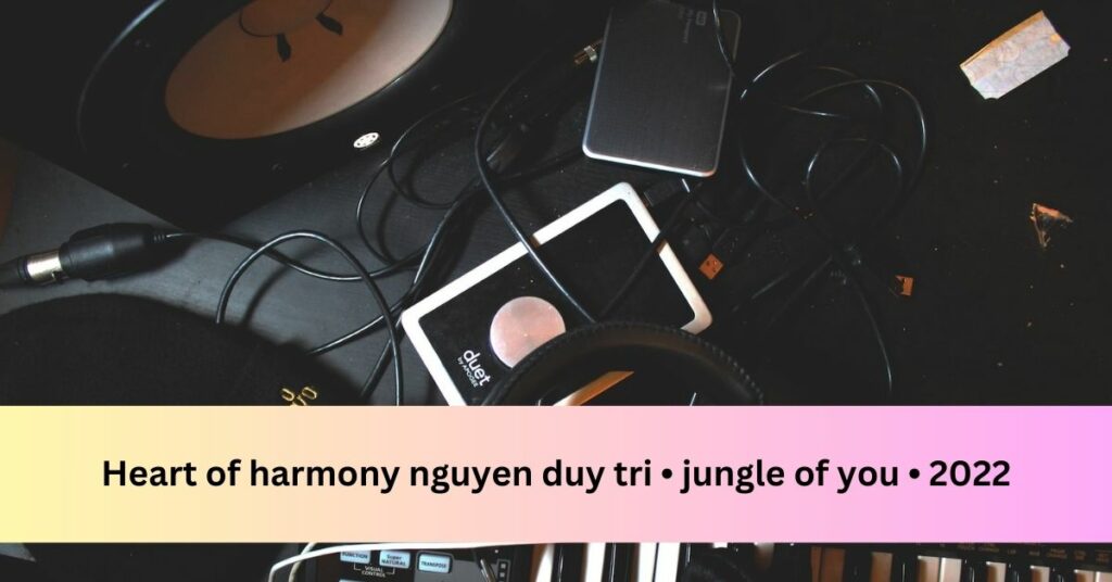 Heart of harmony nguyen duy tri • jungle of you • 2022