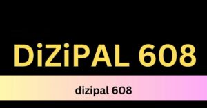 dizipal 608