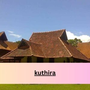 kuthira