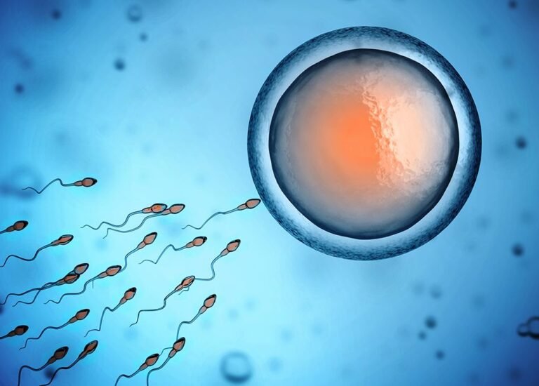 Natural Insemination vs. Assisted Insemination